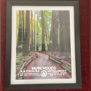 Framed National Parks print- Muir Woods
